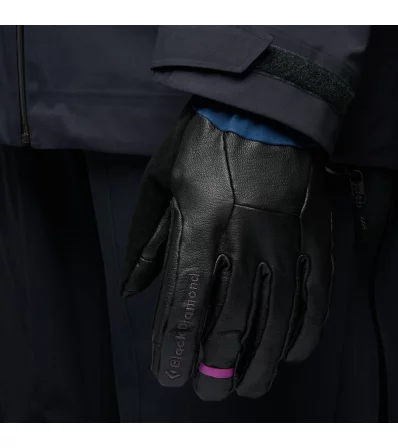 Black Diamond Tour Pro Gloves