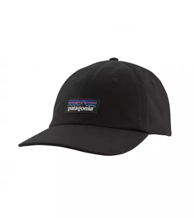 Patagonia P-6 Label Trad Cap Summer 2025