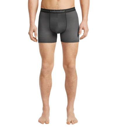Боксерки Icebreaker Merino 150 Anatomica Boxers Transitions