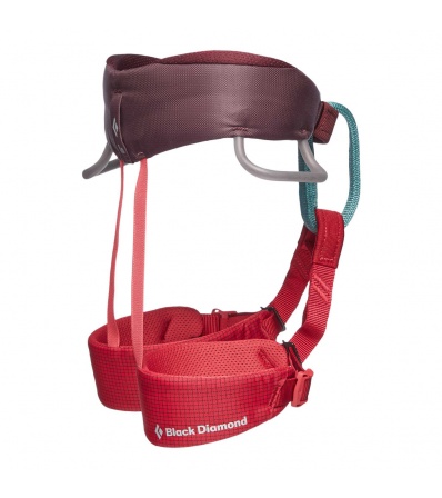 Harness Black Diamond Momentum Kid's