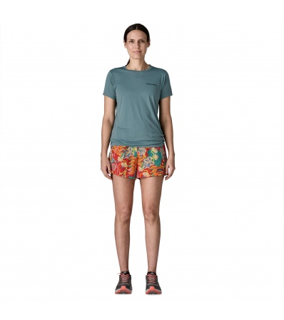 Шорти Patagonia Baggies 5