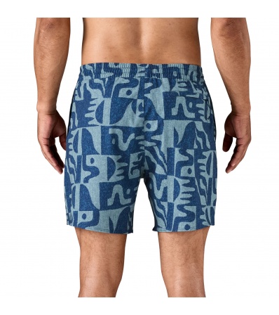 Шорти Patagonia Hydropeak Volley Shorts 16