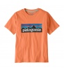 Детска Тениска Patagonia Kid's P-6 Logo T-Shirt